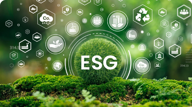 政府合作与公募项目