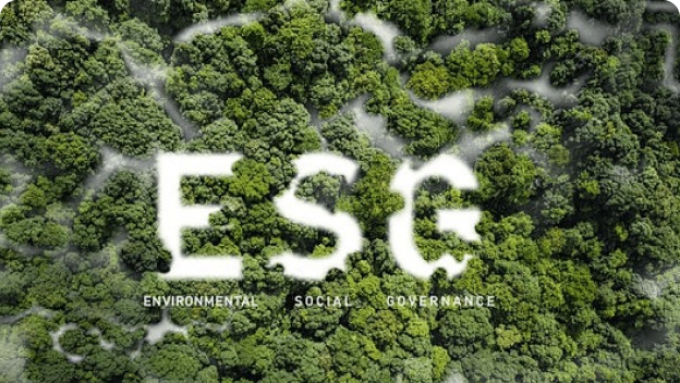 ESG 报告与评级体系