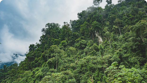 国家碳汇收储中心